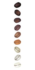 Different Colors of Coffee Beans in A Vertical Row