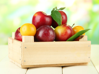 Ripe plums in box on wooden table on natural background
