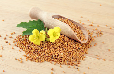 Mustard seeds with mustard flower on wooden background