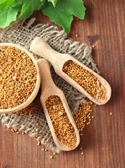 Mustard seeds with mustard leaves on wooden background