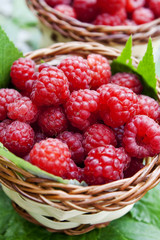 Raspberries