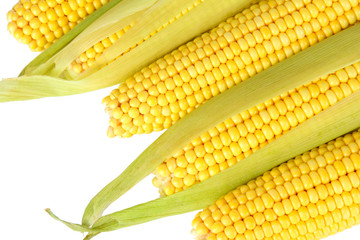 Crude corns isolated on white