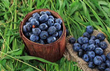 Blueberries in wooden basket and sackcloth on grass