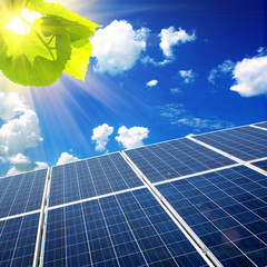 solar panels on the field