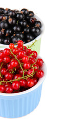 Red and black currant in bowls isolated on white