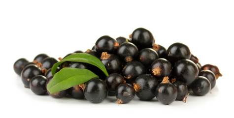 Black currant isolated on white