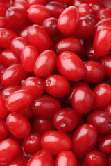 Fresh cornel berries, close up
