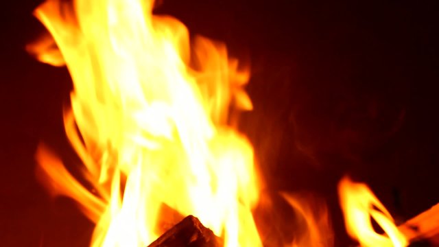 campfire for barbecue