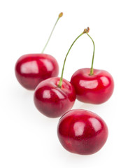 cherry