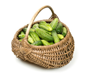 fresh cucumbers in a basket