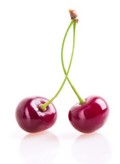 cherry