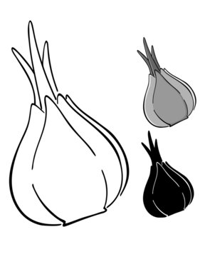 Onion Silhouette