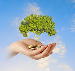Investing to green business