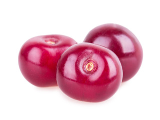 cherry