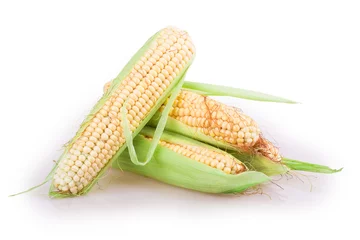  corn © dimakp