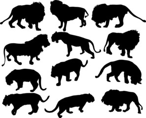 twelve tiger and lion silhouettes isolated on white