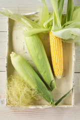 Fresh Corn
