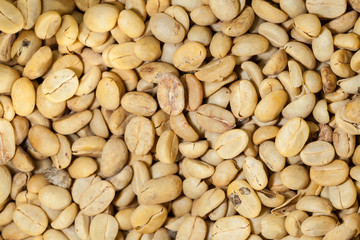 Raw coffee beans for background and texture use