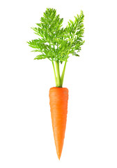 Carrot isolated on white background - obrazy, fototapety, plakaty