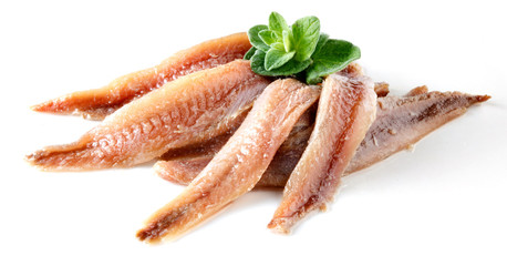 anchovy with herbs - obrazy, fototapety, plakaty