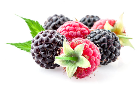 Berries. Raspberry with blackberry on a white background.