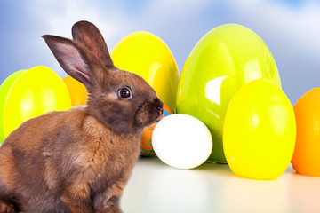 Rabbit with Easter eggs