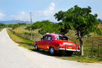 Fototapeta premium Carro rojo