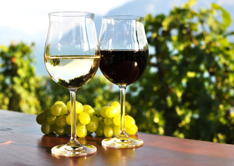 Wine and grapes. Lavaux region, Switzerland