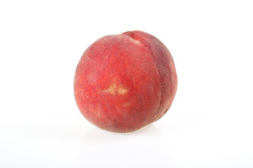 Pêche