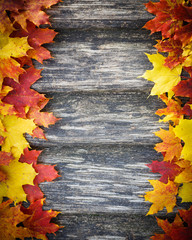 Autumn background
