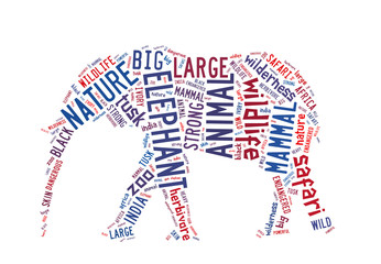 Obraz premium Words illustration of an elephant in white background