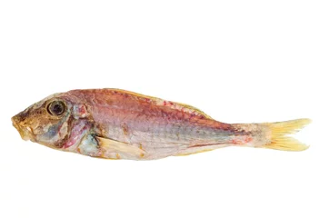 Foto op Aluminium Salted and dried Red mullet fish © Roman Ivaschenko