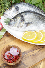 Fresh dorado fish