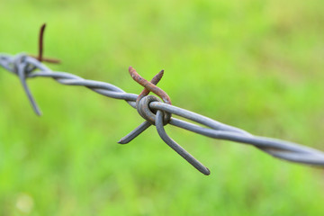 Barbed wire