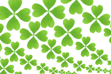 Obraz premium green leaves wallpaper