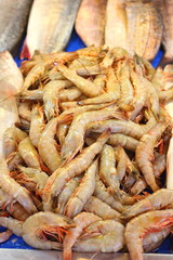 Fresh prawns and Fish for sale at a fish market in Turkey
