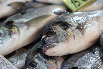 Fresh Fish for sale at a popular fish market in Fethiye,Turkey