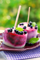 homemade blueberry ice cream