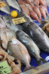 Fresh Fish for sale at a popular fish market in Fethiye,Turkey