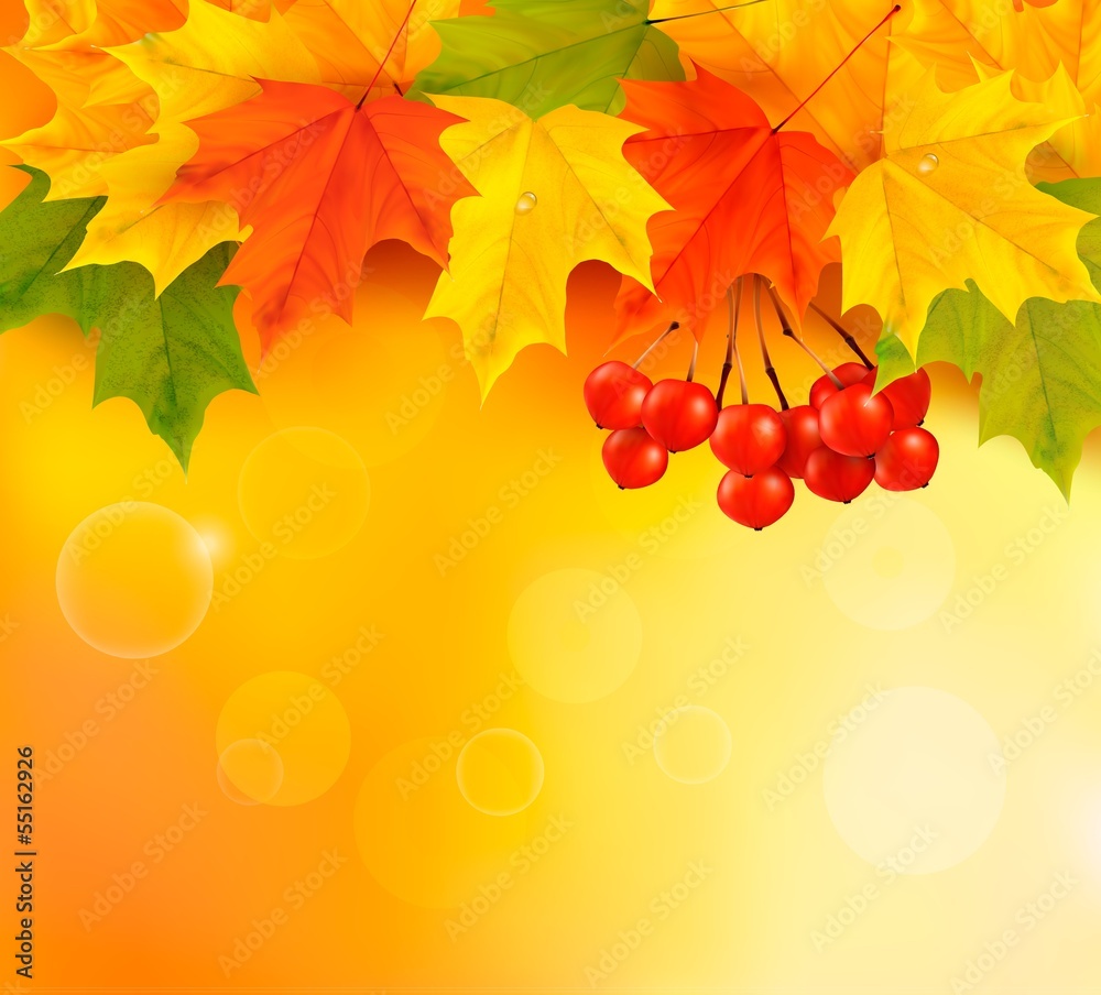 Poster Autumn background with leaves and rowan. Back to school. Vector