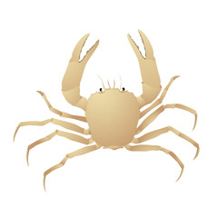 Crab