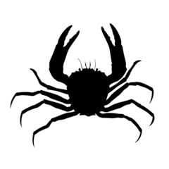 Crab silhouette