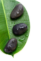 Obraz na płótnie Canvas Three wet spa stones on a green leaf, isolated on white