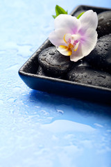 Obraz na płótnie Canvas Spa stones and orchid flower on wet blue background