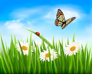 Fototapeten Naturhintergrund mit grünem Gras, Blumen und einem Schmetterling. Vec © ecco