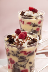 Raspberry Trifle