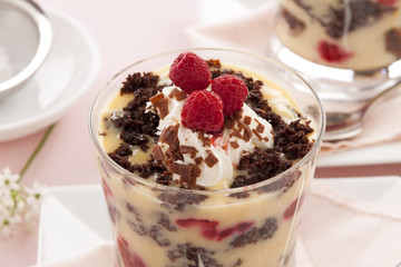 Chocolate Trifle