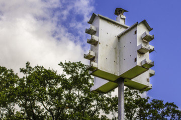 Birdhouse