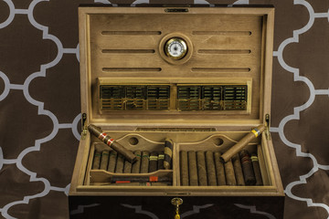 large Cigar Humidor 2