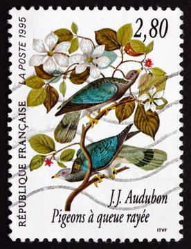 Postage stamp France 1995 Band-tailed Pigeon, Bird